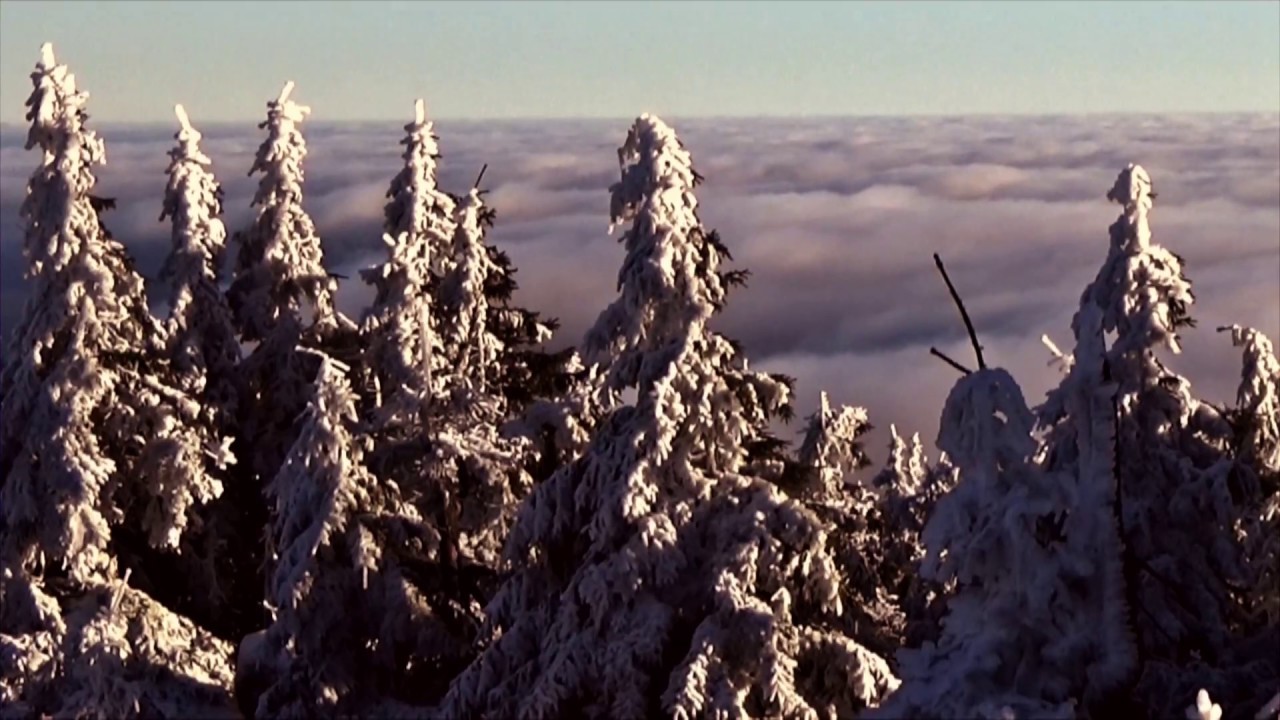 ODROERIR - Abecedarium Nord