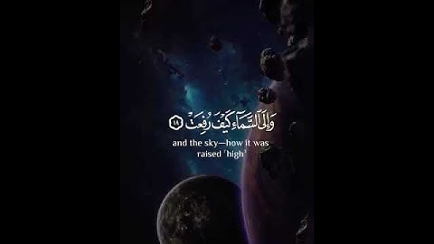 عبد الرحمن مسعد 🫀 #اكسبلور #قران #quran #لايك #قراني #عبدالرحمن_مسعد #تلاوة_خاشعة
