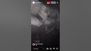 Ken Carson - We Don’t Give AF!/WOAH (snippet) (ig live)