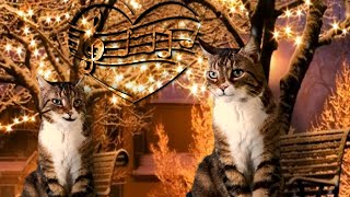 Funny Christmas song by Cats • Cats sing Deck the Halls • Singing Cats • Merry Christmas by ComicCat 470 views 1 year ago 2 minutes, 2 seconds