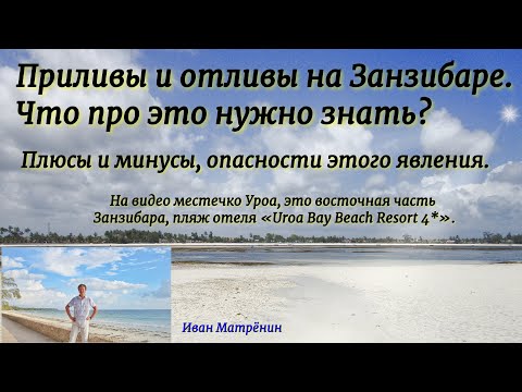 Приливы и отливы на Занзибаре. Что нужно знать про них? Плюсы и минусы, опасности этого явления.