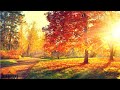 Angelic Morning Music 528Hz 🧡 Fight Stress, Negativity and Anxiety - Music For The Soul