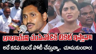 YS Sharmila Reddy Shocking Comments on YS Jagan and YS Avinash Reddy | TV5 News