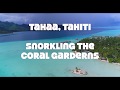 Tahaa tahiti Coral gardens Float.. Our secret spot to snorkel while cruising..