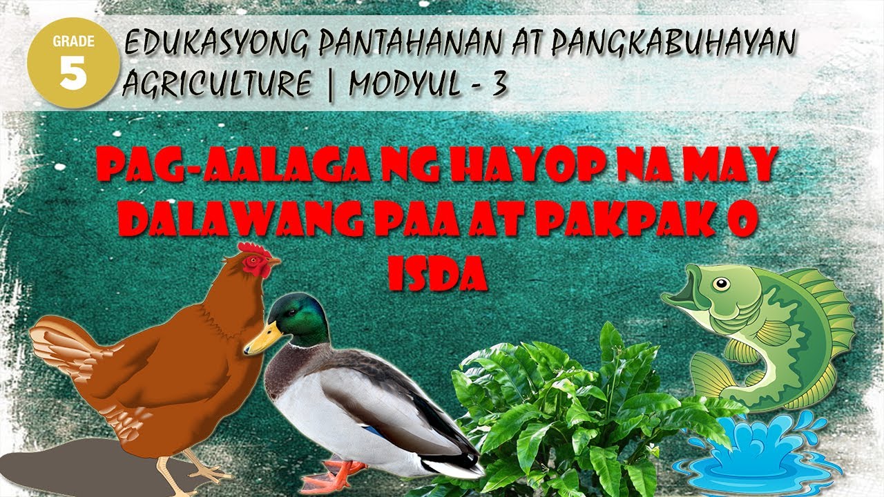 PAG-AALAGA NG HAYOP NA MAY DALAWANG PAA AT PAKPAK O ISDA | GRADE 4