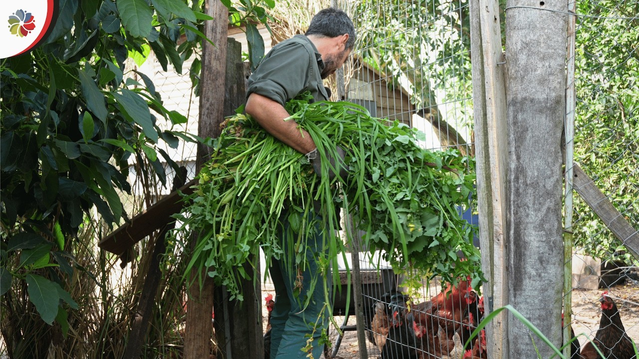 Aprender es permitir el error 🙏 Casi me equivoco con los bancales en la MINI GRANJA 👨‍🌾