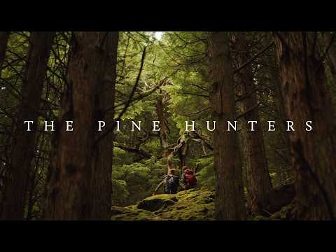Seeking Out The Loneliest Scots Pine Tree In Scotland – The Pine Hunters – Documentary