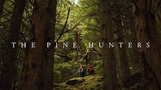 Seeking Out The Loneliest Scots Pine Tree In Scotland – The Pine Hunters – Documentary