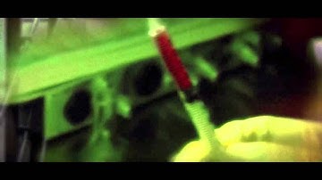 Web of Intrigue Jeffery Campbell