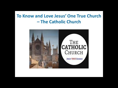 Catholic Church Exposed | The 1 True Church? #ifb #independentfundamentalbaptist #pope #catholic
