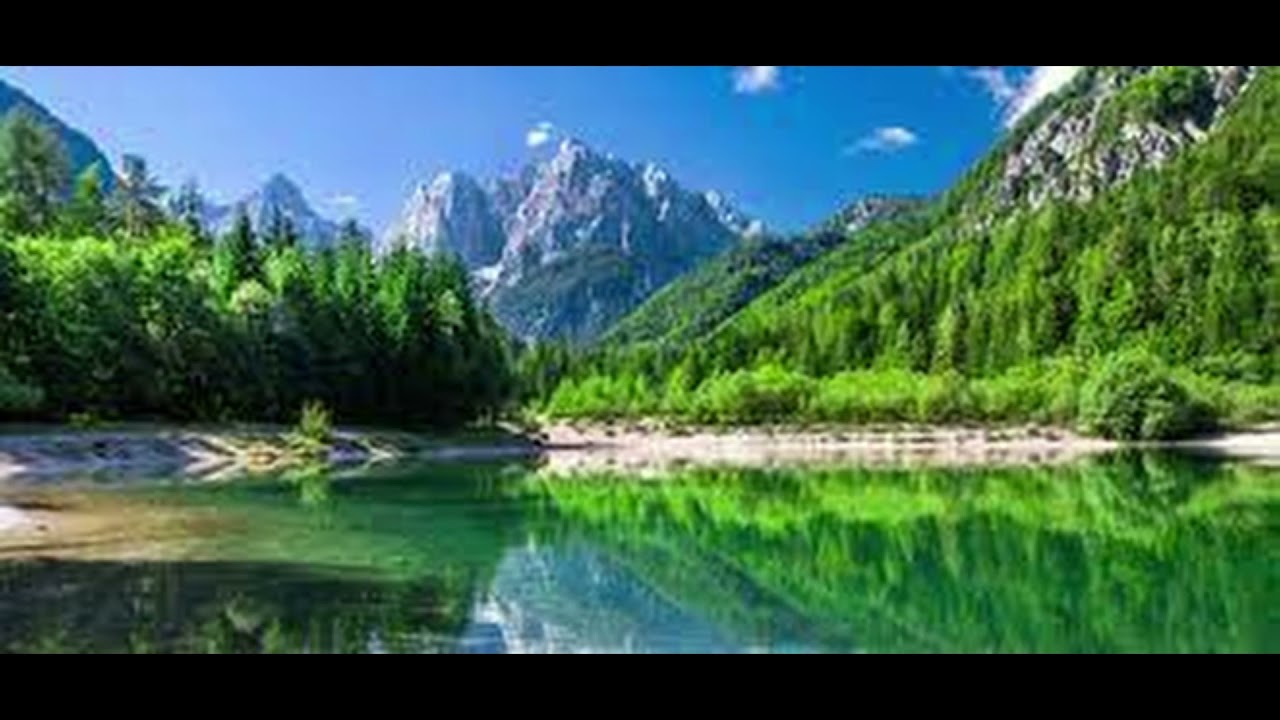 DJ SVIZEC - Mix Slovenskih narodnih #2