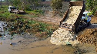 Start Project with four bulldozer & too many Truck 5ton!! Pushing Soil & Stone