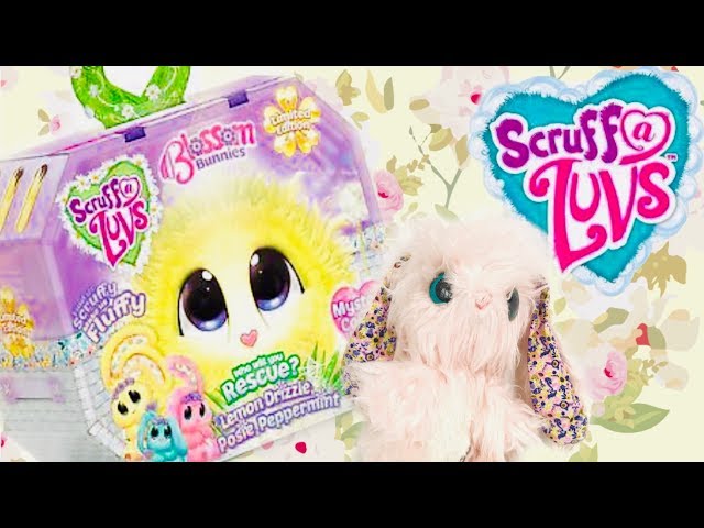 Scruff-a-Luvs Blossom Bunnies Adorable Plush Toy! by masao channel class=