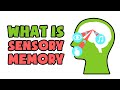 What is Sensory Memory | Explained in 2 min