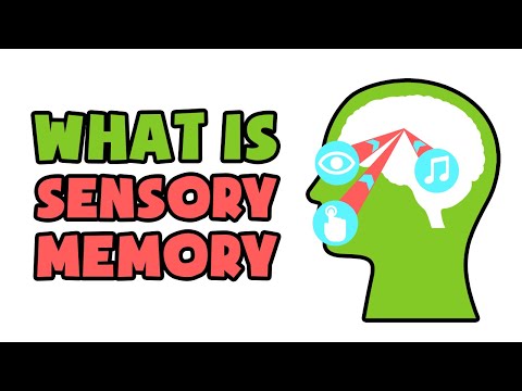 ვიდეო: სენსორული მეხსიერების რომელი ტიპი გრძელდება უფრო დიდხანს?