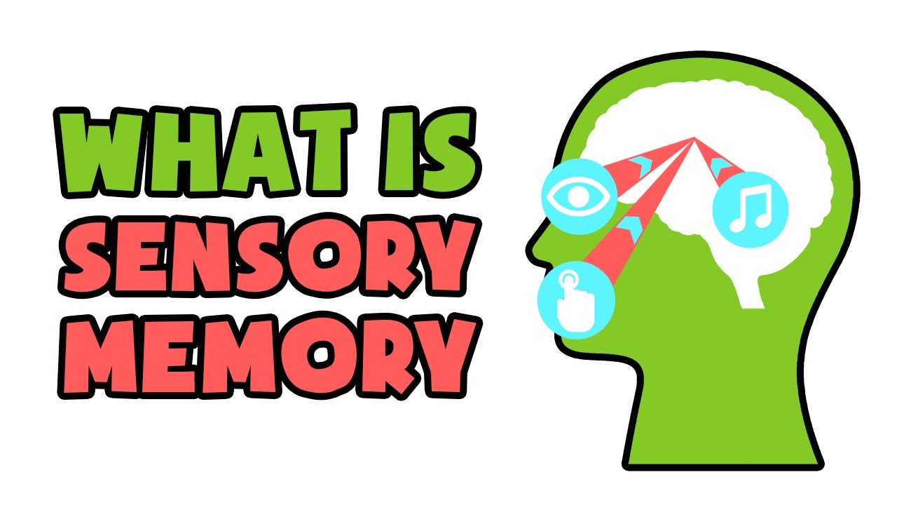 What is Sensory Memory | Explained in 2 min