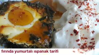Fırında yumurtalı ıspanak tarifi