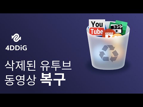   꿀팁 5 개 삭제된 유튜브 영상을 쉽게 복구하는 법 사용해보세요