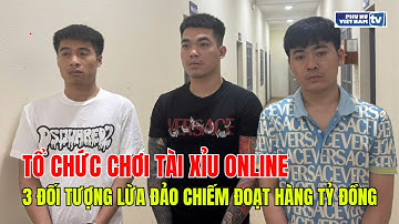 Tổ chức chơi tài xỉu online, 3 đối tượng lừa đảo chiếm đoạt hàng tỷ đồng