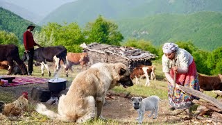 IRAN Nomadic Daily Life and Making Organic Cheese from Fresh Cow Milk