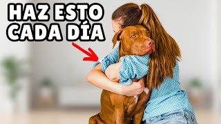 15 COSAS científicamente probadas que hacen FELICES a los PERROS