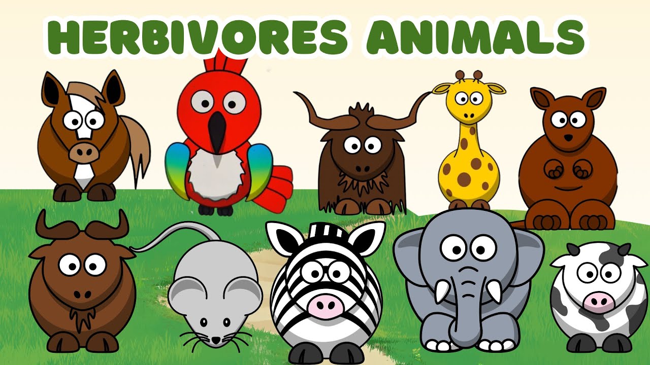 Herbivores animals: Giraffe, cow, parrot, horse, koala - Animals