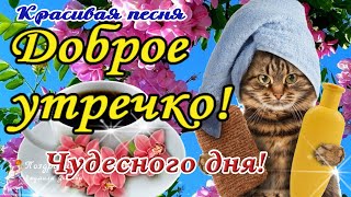 ☕️🍬Доброе Утро! Забей На Все Проблемы! Скажи Доброе Утро С Этой Уникальной Песней!