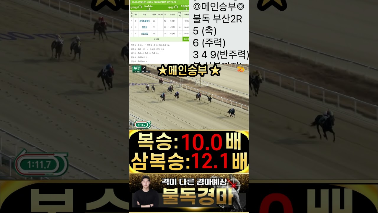 불독의 부산 메인승부 주력한방 시원하게 때리고 삼복승까지 싹쓸이 적중으로 보답 합니다 경마는 이제 불독 입니다