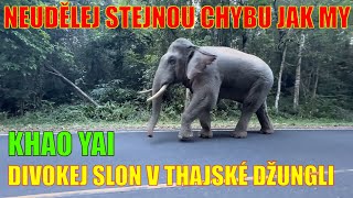 Ztraceni v Thajské džungli | Neudělej stejnou chybu jak my 😢 CELÝ PŘÍBĚH