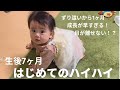 【ハイハイデビュー!!️】初めてハイハイした赤ちゃんが上手すぎてお父さん、お母さんびっくり仰天!!️