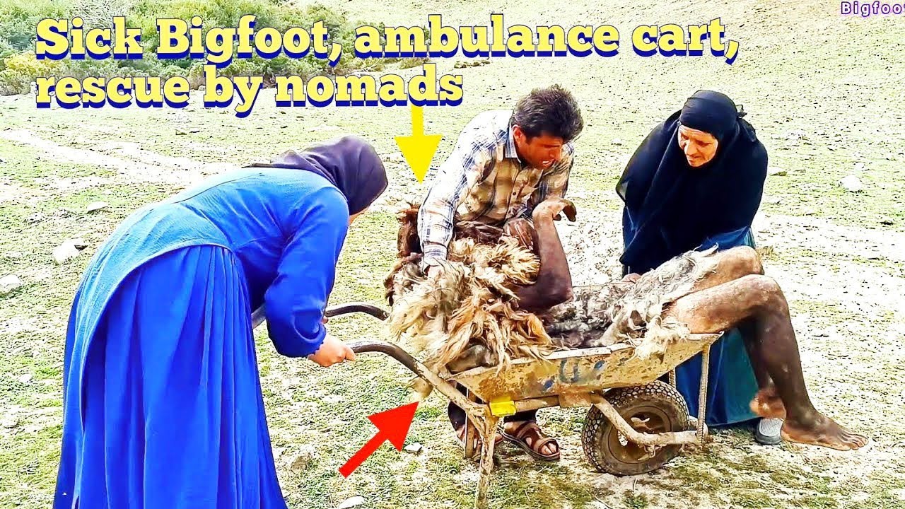 История жизни и смерти: Добрые кочевники, дикий бигфут