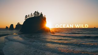 Jordan Critz - Ocean Wild Resimi