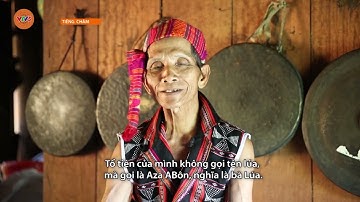 [TIẾNG CHĂM] LỄ MỪNG LÚA MỚI CỦA NGƯỜI VÂN KIỀU | VTV5