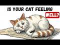 6 Sleeping Habits That Reveal Your Cat’s Health | Feline Secrets