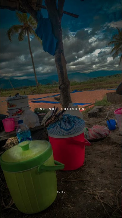 STORY WA// DISINI DIBATAS KOTA INI
