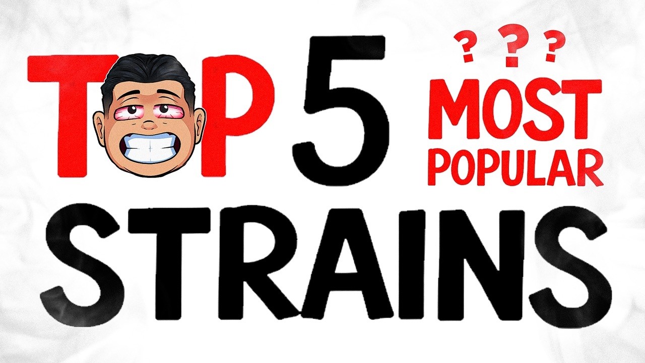 The MOST Popular CANNABIS Strains Ever