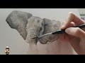 Elephant Watercolour Time Lapse