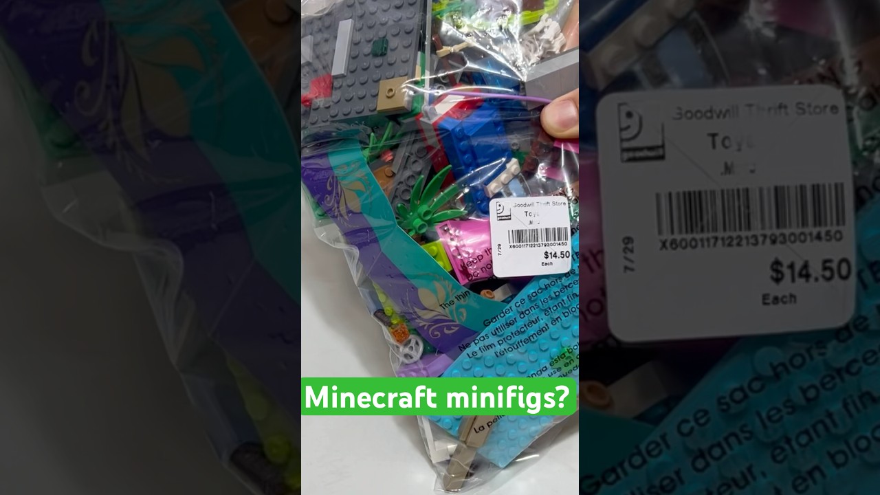 Let’s open a $14.50 goodwill lego bag! 