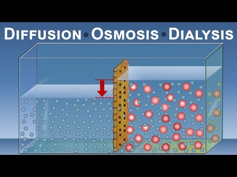 Video: Is hemodialise diffusie of osmose?