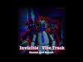 Invisible Vibe Track Slowed And Reverb 