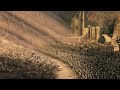 Why This Is The Greatest Lord Of The Rings Scene Ever