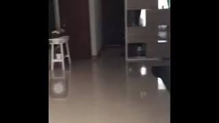 KUMPULAN LIKE LKI MOJA PART|| 1