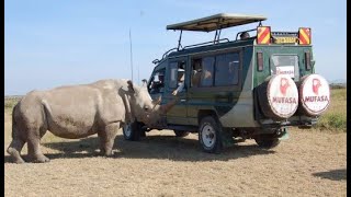 UPCLOSE WITH THE NORTHERN WHITE RHINOS AT OLPEJETA CONSERVANCY BY MUFASA TOURS AND TRAVELS KENYA