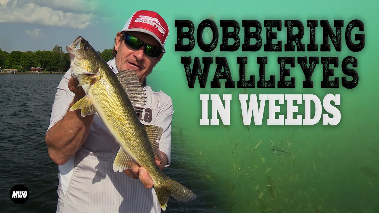 Live Bait Rigging for Walleyes - MidWest Outdoors