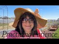 🌱 What Gardening is Teaching Me About Patience |  Budget Container Ideas 🌼