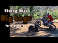 Riding Over Big Logs - For Beginner Dirt Bike Riders