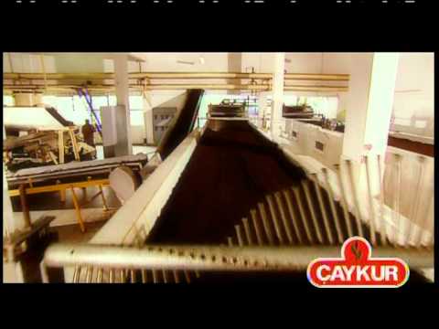 Çaykur - Yaş Çay Alımı - İmalat (03.12.2007 TRT Belgesel)