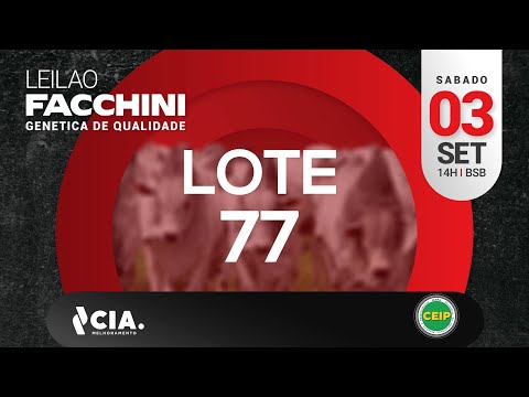 LOTE 77 LEILÃO FACCHINI 2022