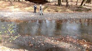 20101114(113713).m2ts