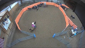 Big Sky Ranch Sorting Saddle Series #3 - #7 Sort - Round #1 - Ride #13